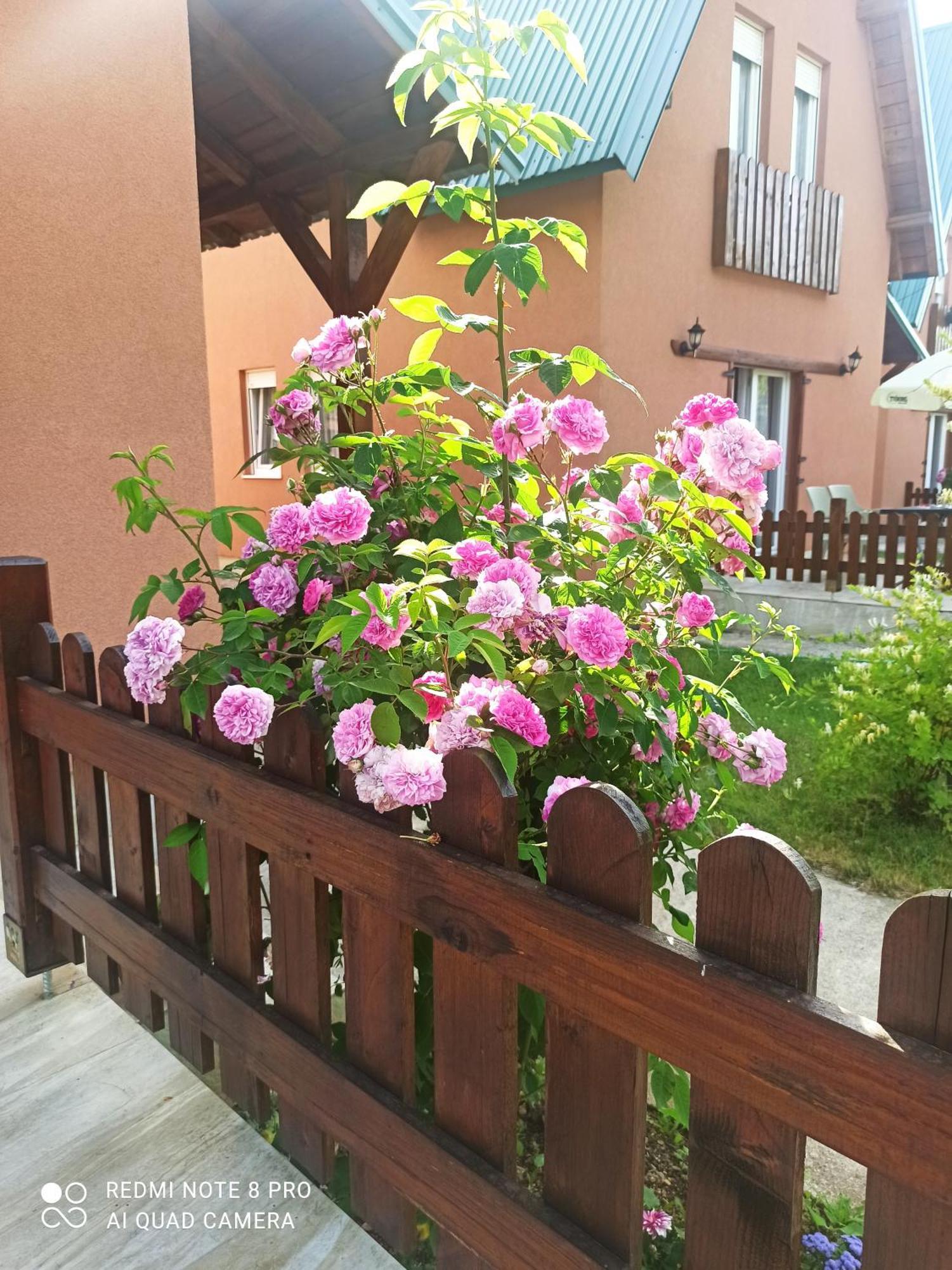 Holiday Home Ivana Kolaşin Dış mekan fotoğraf