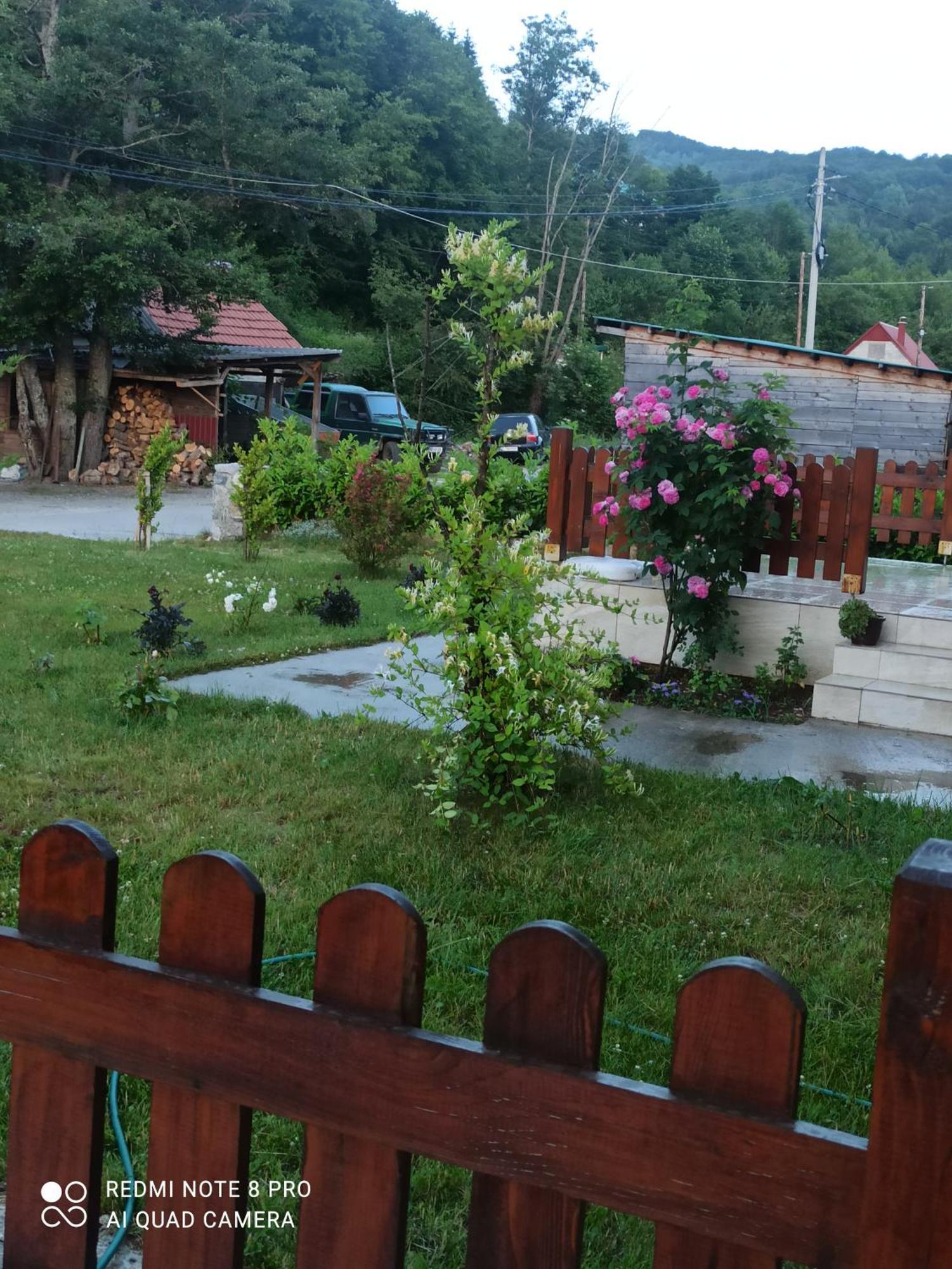 Holiday Home Ivana Kolaşin Dış mekan fotoğraf